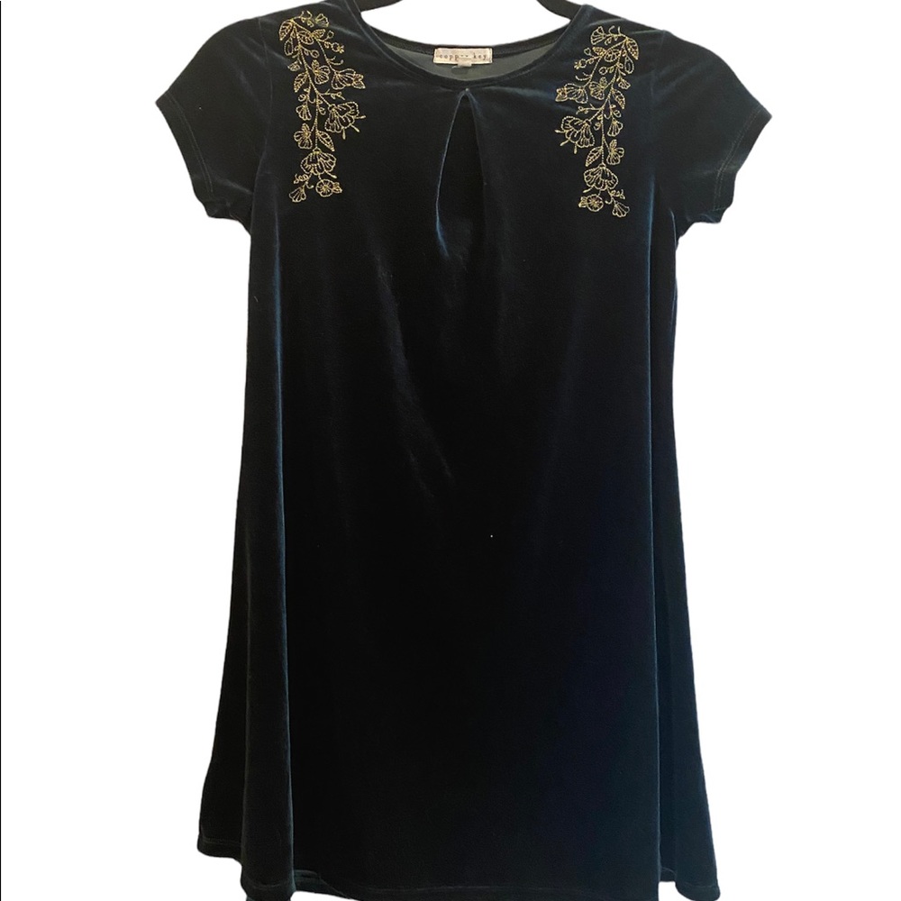 Girls Green Velvet dress